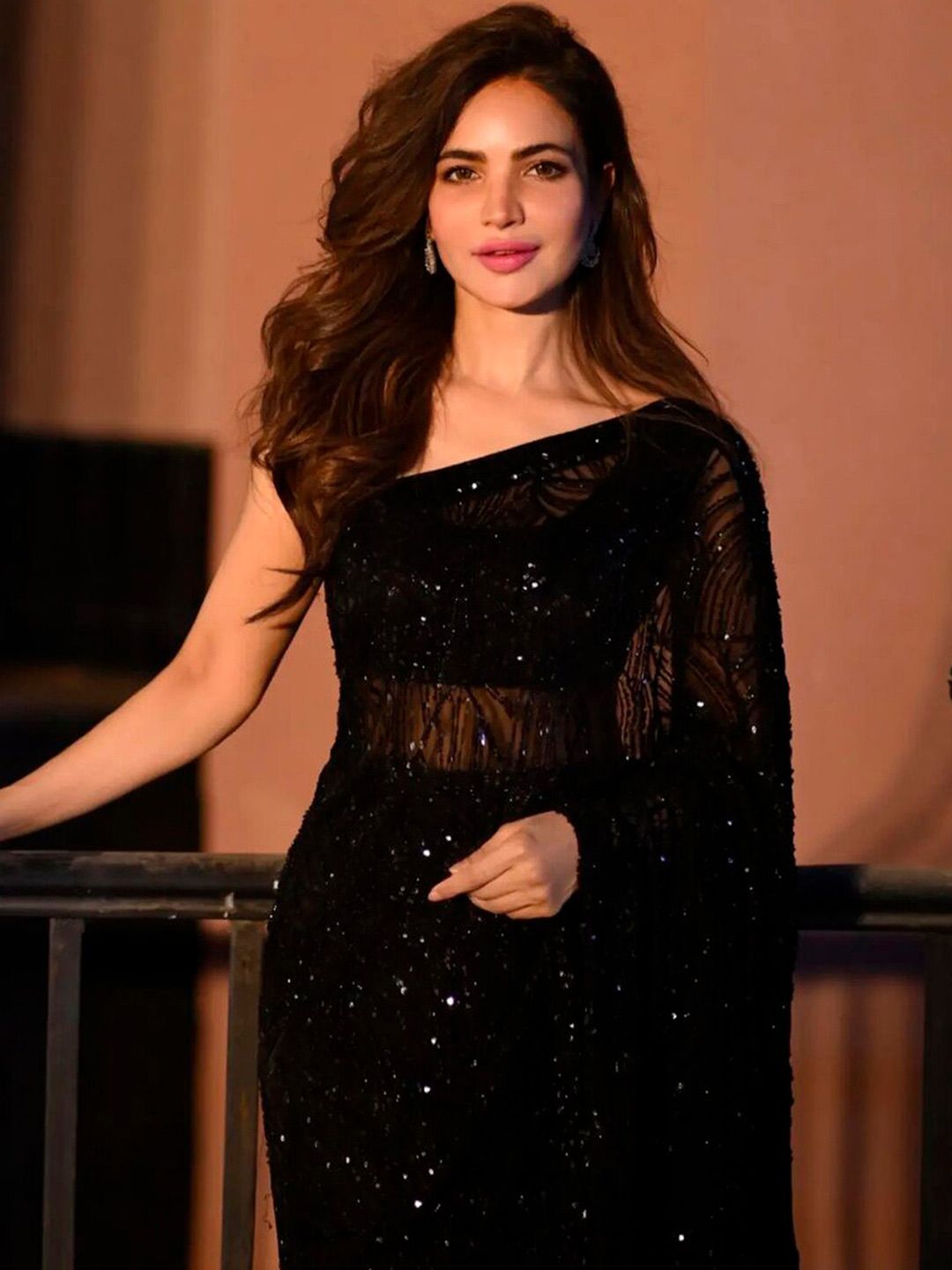 Sangria Black Sequinned Embellished Fusion Saree